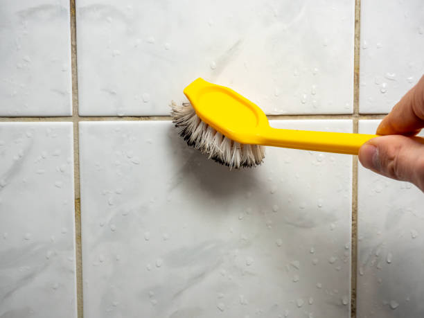 Best Mold Cleaning Services  in Charlottesville, VA