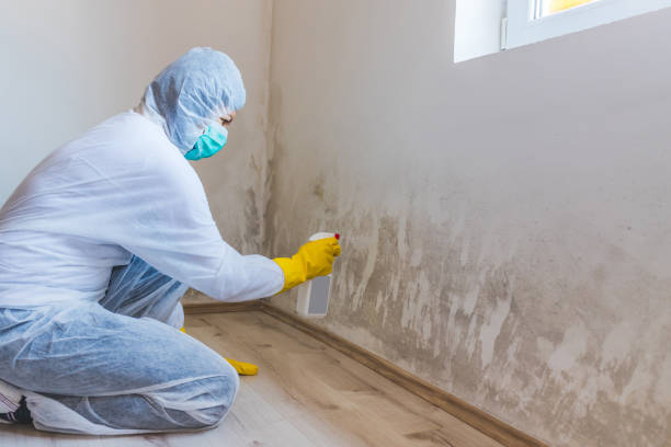Best Professional Mold Removal  in Charlottesville, VA