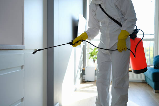 Best Mold Inspection  in Charlottesville, VA