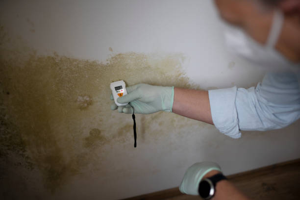 Best Mold Remediation Services  in Charlottesville, VA