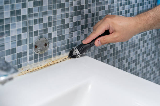 Reliable Charlottesville, VA Mold Removal Solutions