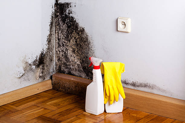 Best Mold Testing  in Charlottesville, VA